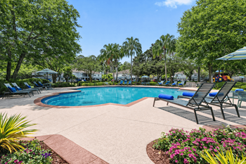 Tropical pool & sundeck